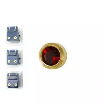 CAFLON Fülbevaló Belőhető 3mm - Arany Kerek Mini - Január 1pár